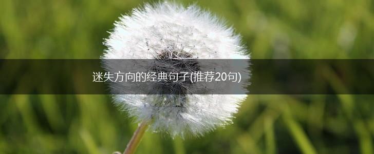 迷失方向的经典句子(推荐20句),第1张