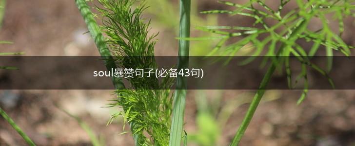 soul暴赞句子(必备43句),第1张