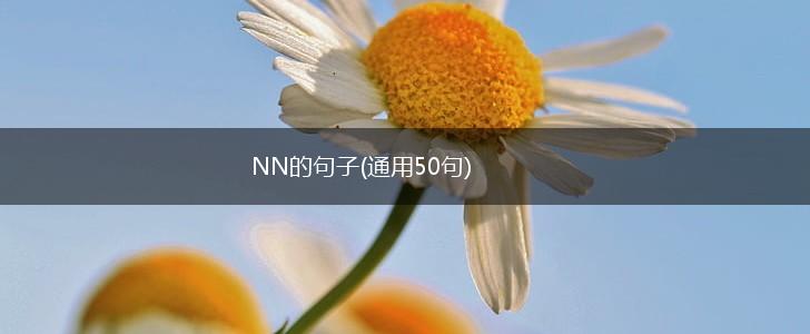 NN的句子(通用50句),第1张