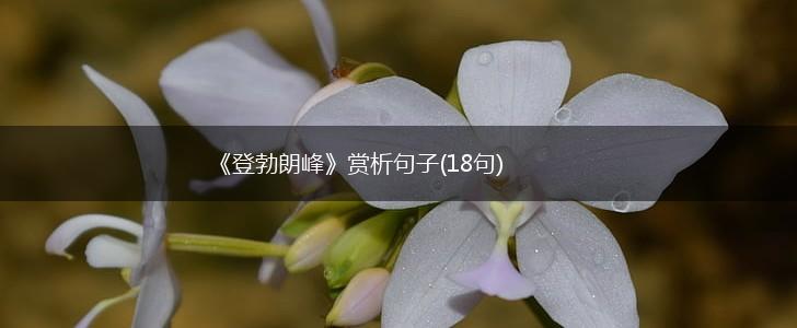 《登勃朗峰》赏析句子(18句),第1张