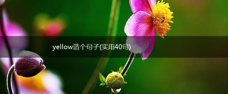 yellow造个句子(实用40句),第1张