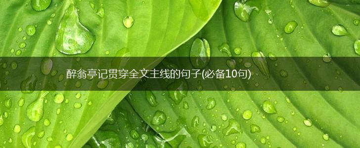 醉翁亭记贯穿全文主线的句子(必备10句),第1张