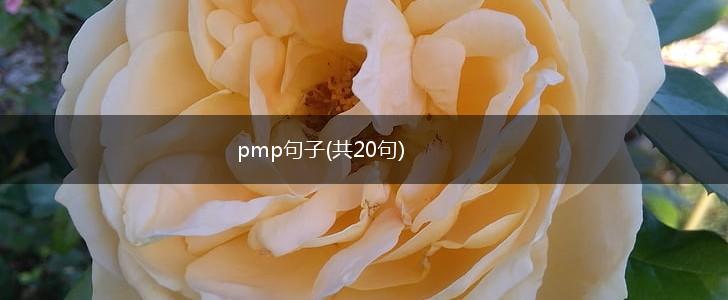 pmp句子(共20句),第1张