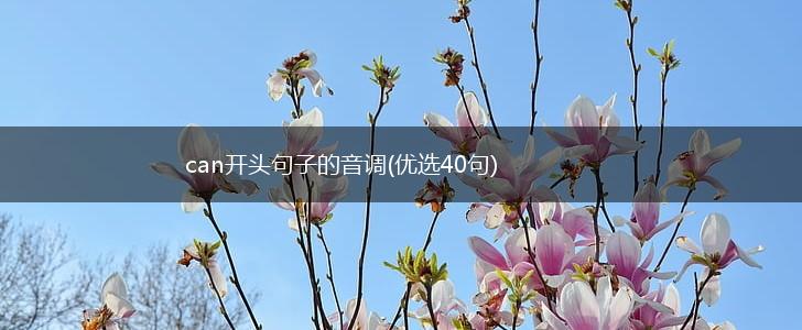 can开头句子的音调(优选40句),第1张