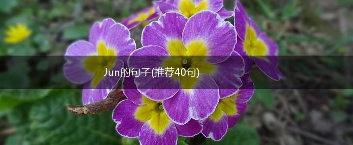 Jun的句子(推荐40句),第1张
