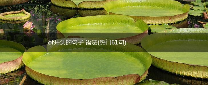 of开头的句子 语法(热门61句),第1张