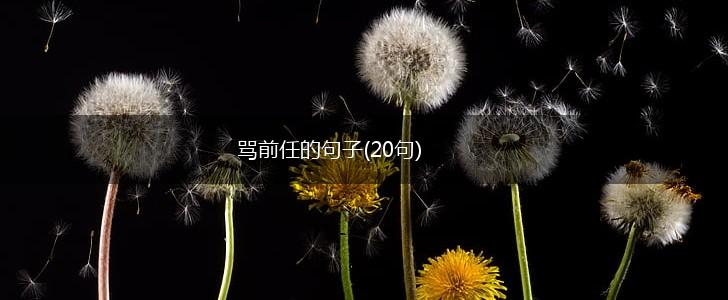 骂前任的句子(20句),第1张