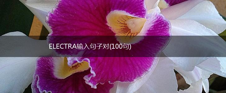 ELECTRA输入句子对(100句),第1张