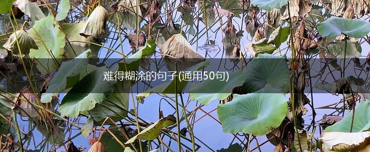 难得糊涂的句子(通用50句),第1张