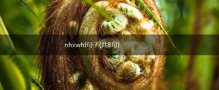 nhxwhl句子(共8句),第1张