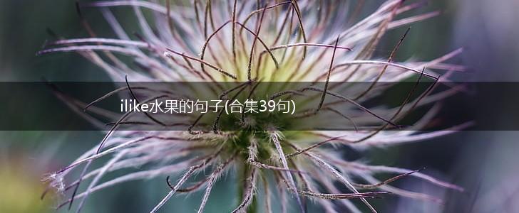 ilike水果的句子(合集39句),第1张