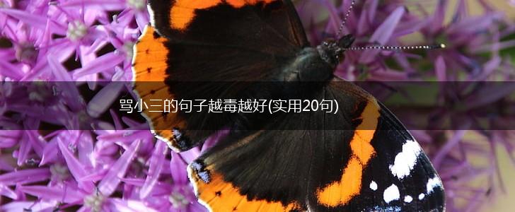 骂小三的句子越毒越好(实用20句),第1张
