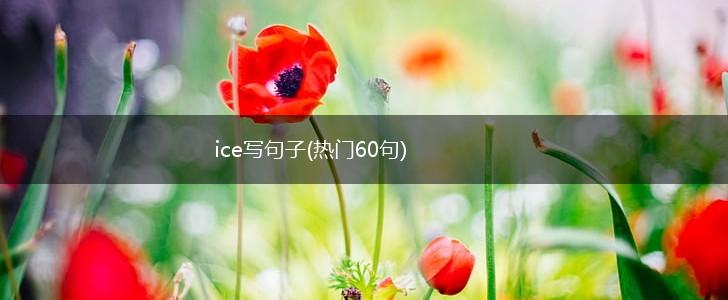 ice写句子(热门60句),第1张