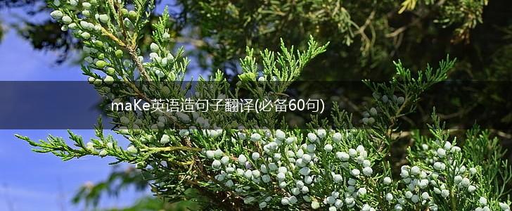 maKe英语造句子翻译(必备60句),第1张