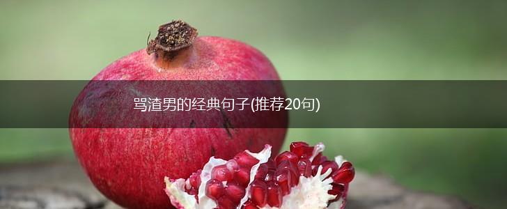 骂渣男的经典句子(推荐20句),第1张