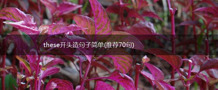 these开头造句子简单(推荐70句),第1张