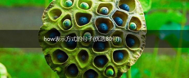 how表示方式的句子(优选80句),第1张