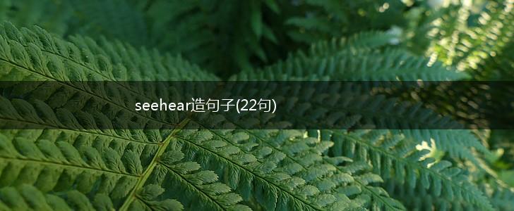seehear造句子(22句),第1张