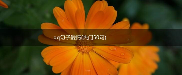 qq句子爱情(热门50句),第1张