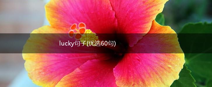 lucky句子(优选60句),第1张