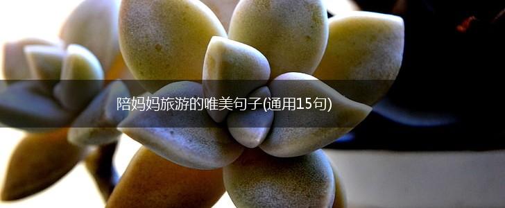 陪妈妈旅游的唯美句子(通用15句),第1张