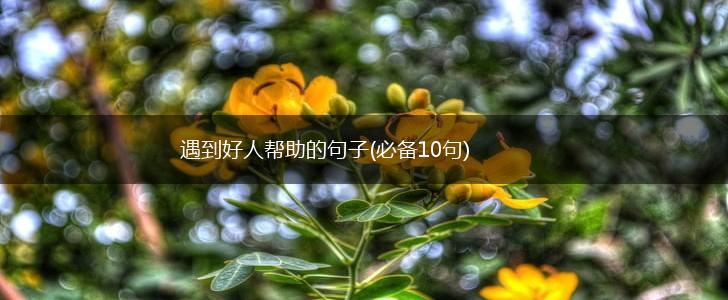遇到好人帮助的句子(必备10句),第1张