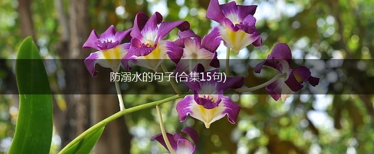防溺水的句子(合集15句),第1张