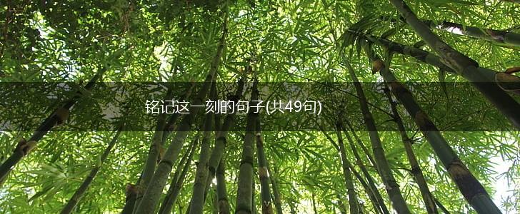 铭记这一刻的句子(共49句),第1张