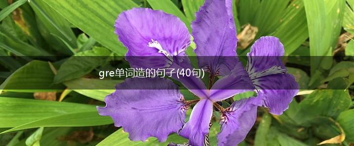 gre单词造的句子(40句),第1张