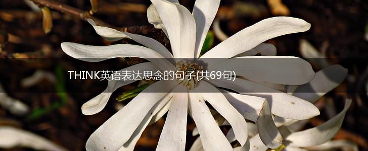 THINK英语表达思念的句子(共69句),第1张