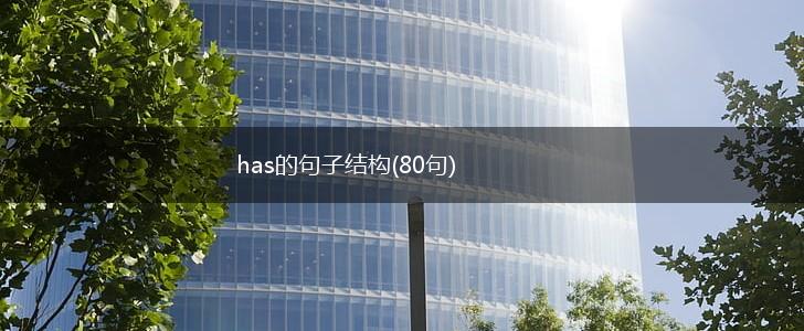 has的句子结构(80句),第1张