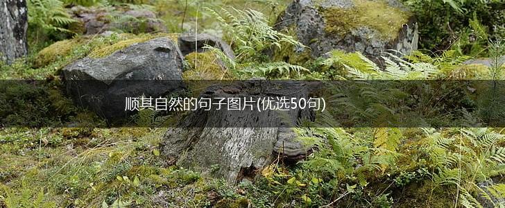 顺其自然的句子图片(优选50句),第1张
