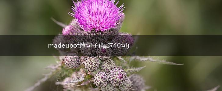 madeupof造句子(精选40句),第1张