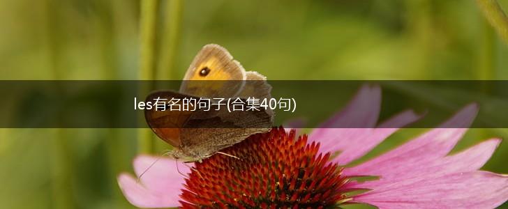 les有名的句子(合集40句),第1张