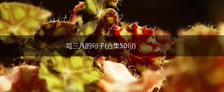 骂三八的句子(合集50句),第1张