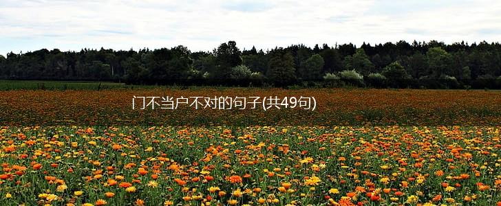 门不当户不对的句子(共49句),第1张