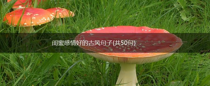 闺蜜感情好的古风句子(共50句),第1张