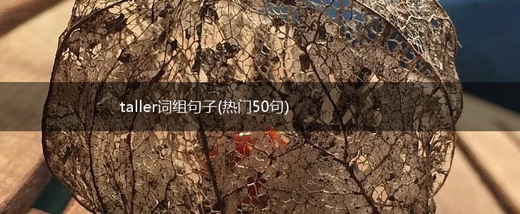 taller词组句子(热门50句),第1张
