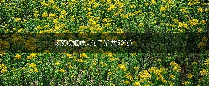 项羽虞姬唯美句子(合集50句),第1张