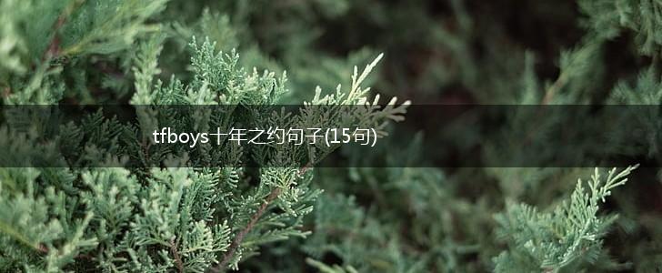 tfboys十年之约句子(15句),第1张