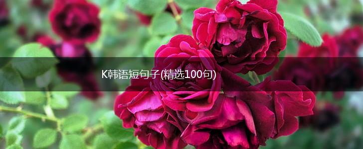 K韩语短句子(精选100句),第1张