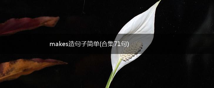 makes造句子简单(合集71句),第1张