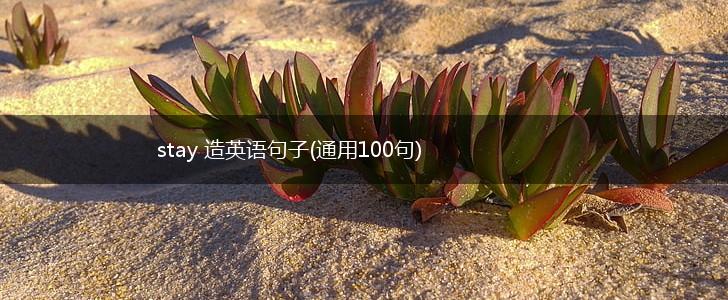 stay 造英语句子(通用100句),第1张