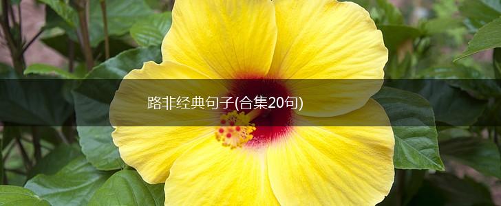 路非经典句子(合集20句),第1张