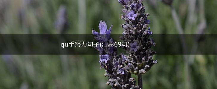 qu手努力句子(汇总69句),第1张
