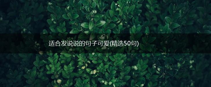 适合发说说的句子可爱(精选50句),第1张