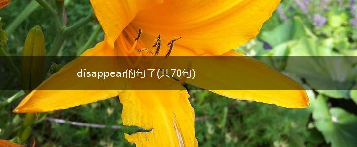 disappear的句子(共70句),第1张