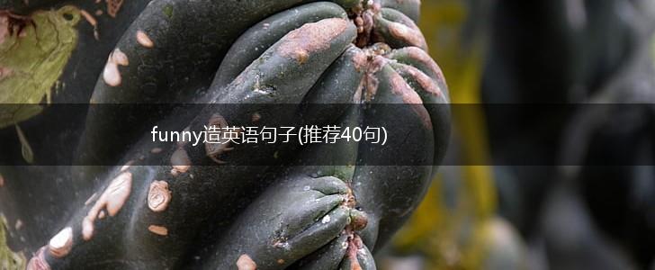 funny造英语句子(推荐40句),第1张