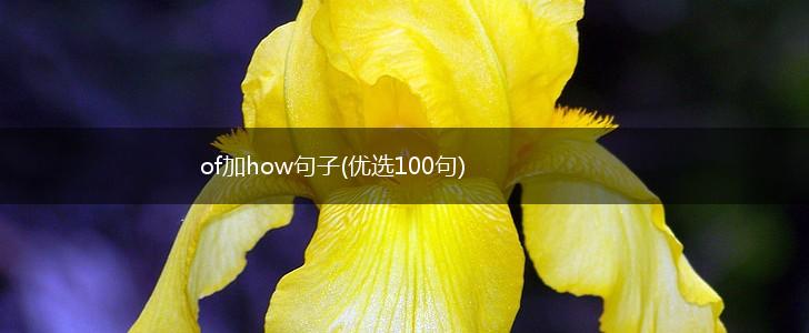 of加how句子(优选100句),第1张