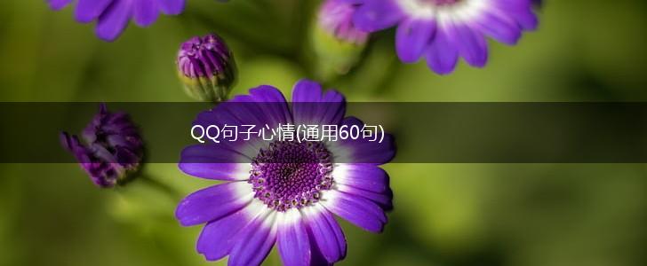 QQ句子心情(通用60句),第1张